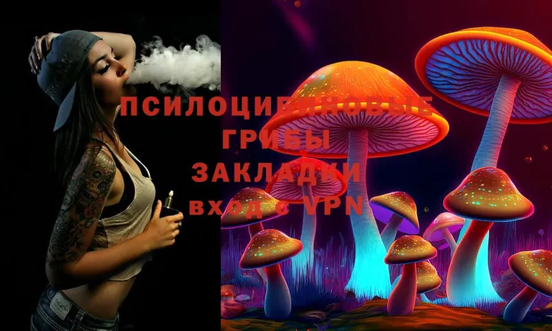 Псилоцибиновые грибы Cubensis Новосибирск