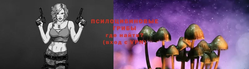 Псилоцибиновые грибы Psilocybe  блэк спрут маркетплейс  Новосибирск 